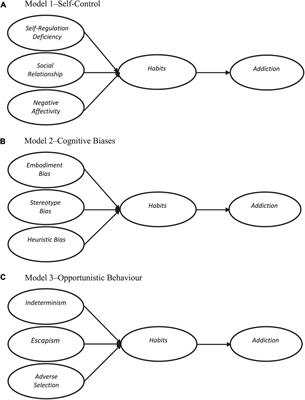 Students’ game addiction caused by multi-constructs and multi-dimensions: Self-controls, cognitive biases and opportunistic behaviours